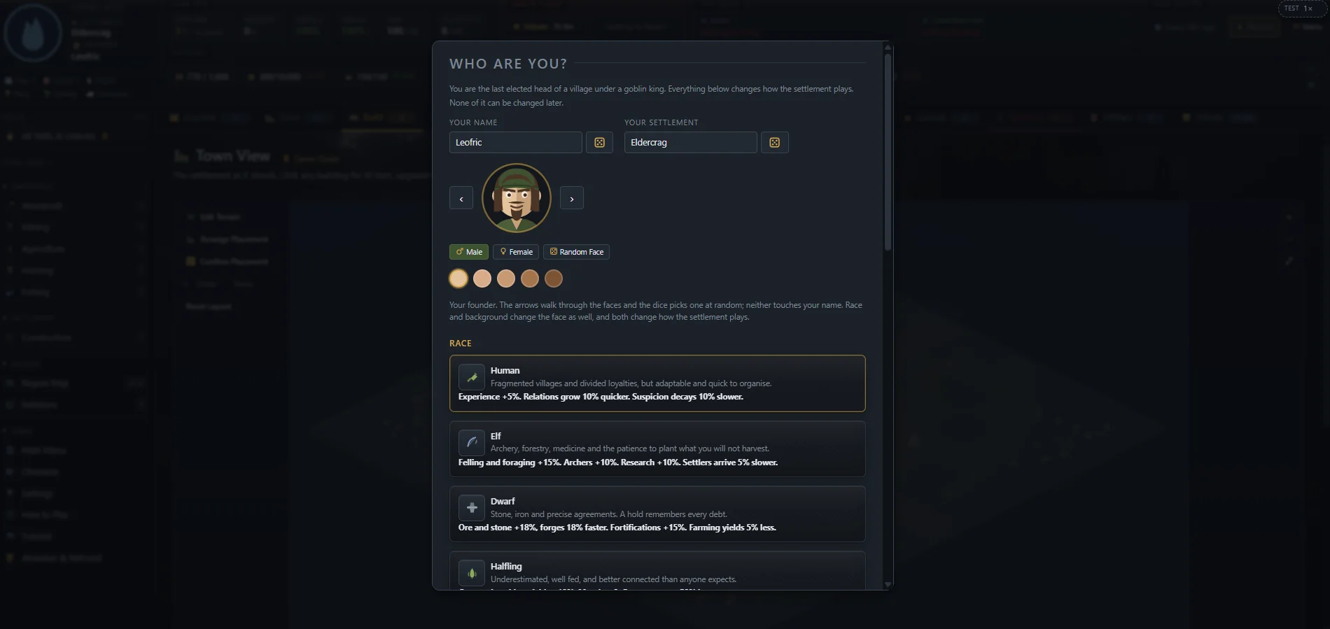 Founder creation screen with name, settlement, face, and race options